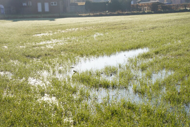 Brouns Blue Deal - peil gestuurde drainage