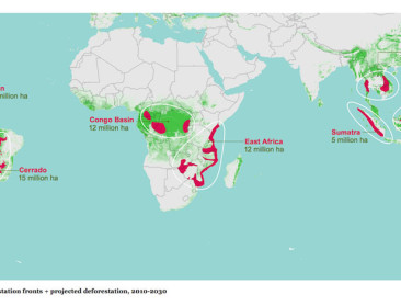 WWF detecteert 11 risicogebieden voor ontbossing