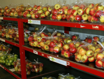 Steun voor diversificatie van landbouw pakt beste uit