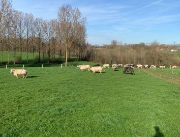 Boerenbond wil alle globale kaders in natuurbeheerplannen geschrapt zien