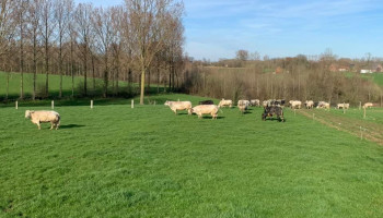 Boerenbond wil alle globale kaders in natuurbeheerplannen geschrapt zien