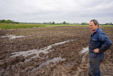 Guido Willemse_op oud maisveld
