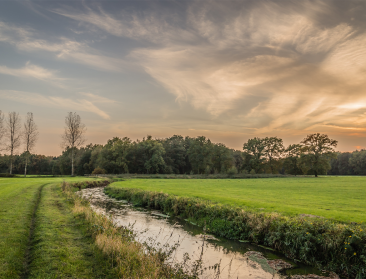 'Riviercontract' moet overstromingsrisico van Dommel inperken