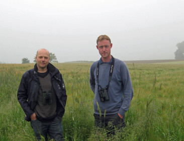 Bescherming akkervogels maakt doorstart in Vlaanderen