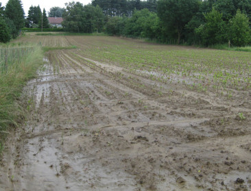 Boeren staan klaar om voorjaarswerk eindelijk af te ronden: groeiachterstand onvermijdelijk