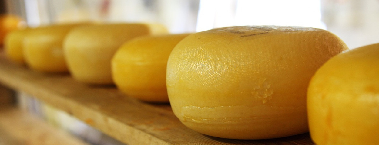 melkkaaszuivel