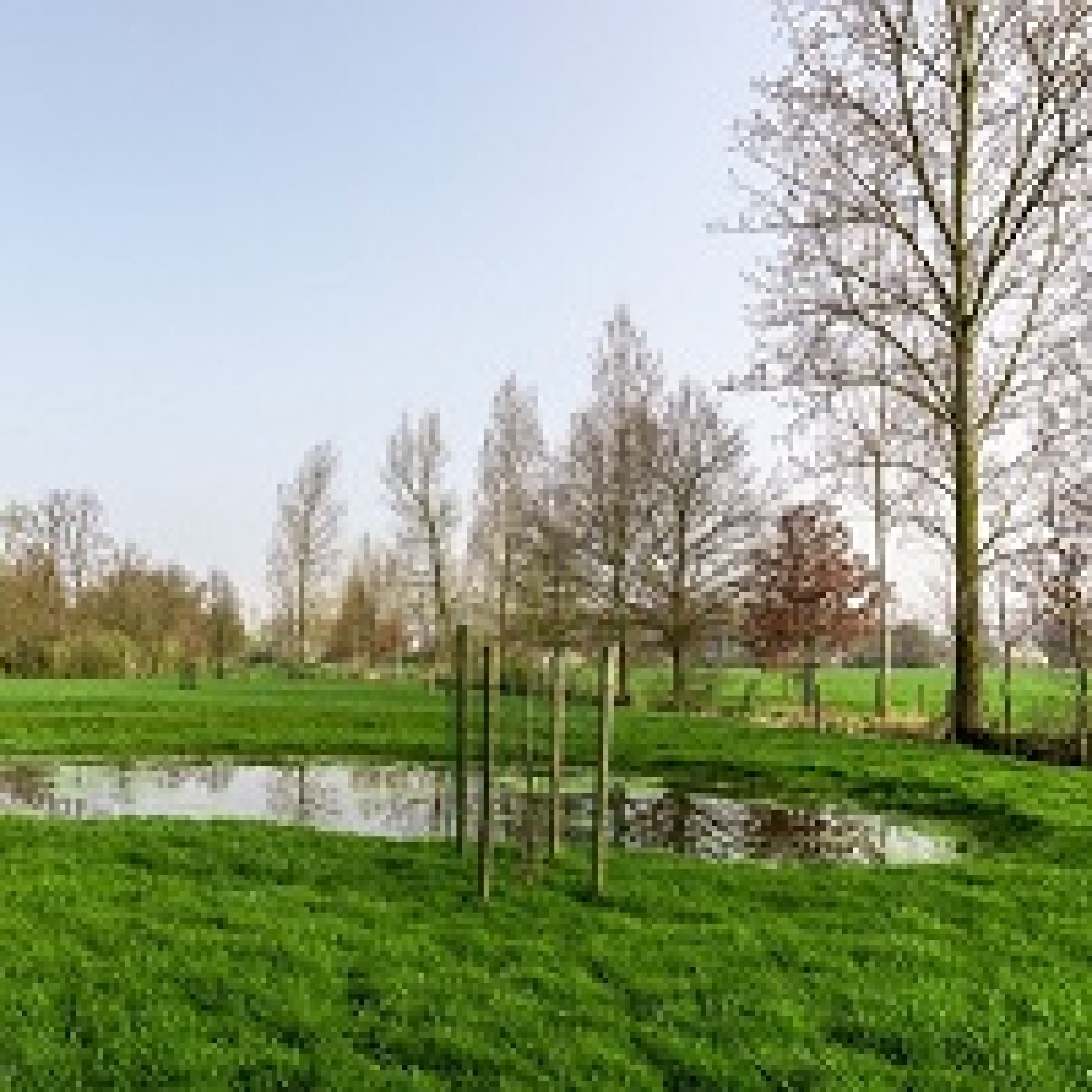 Webinar: Meer water vasthouden via gewijzigde regelgeving voor drainage en grondwaterwinning.