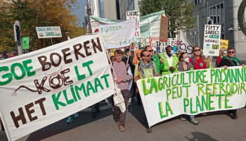 Vlaanderen niet op koers om klimaatdoelstelling te halen