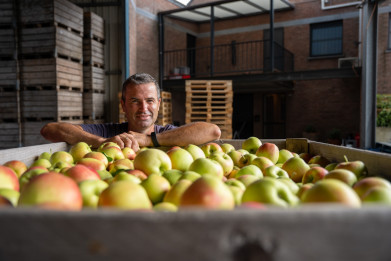 Onzekere tijden voor verlieslijdende appeltelers bij start pluk
