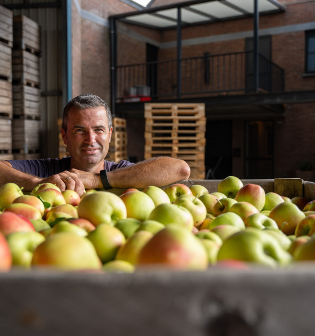 Onzekere tijden voor verlieslijdende appeltelers bij start pluk