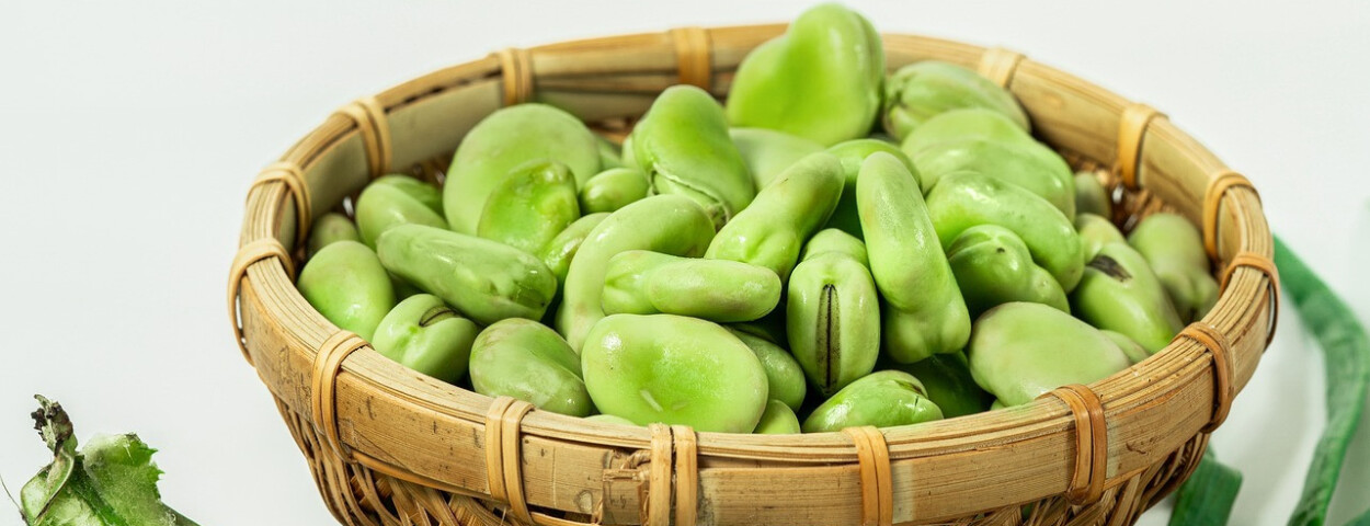 we-o_rd35kicxaf8kuycch-beans-9400505_1920