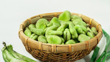 Wordt tuinboon de nieuwe soja? ‘Protein Project’ vindt gewas ernstig ondergewaardeerd