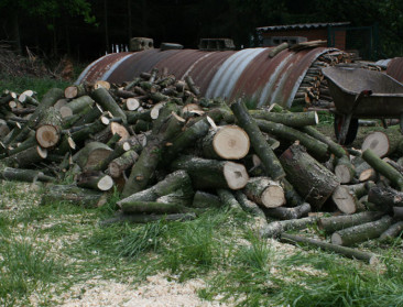 Boscompensatiefonds heeft reserve van 8,5 miljoen euro