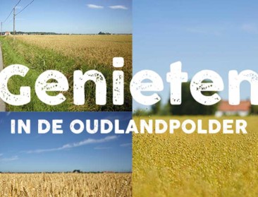Oudlandpolder krijgt nieuwe infoborden en een boek