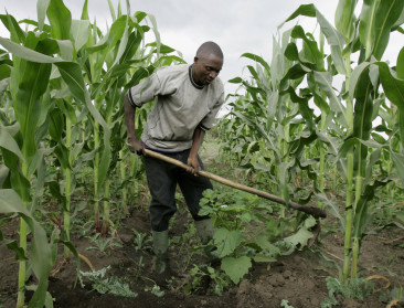 World Farmers’ Organisation (WFO) 