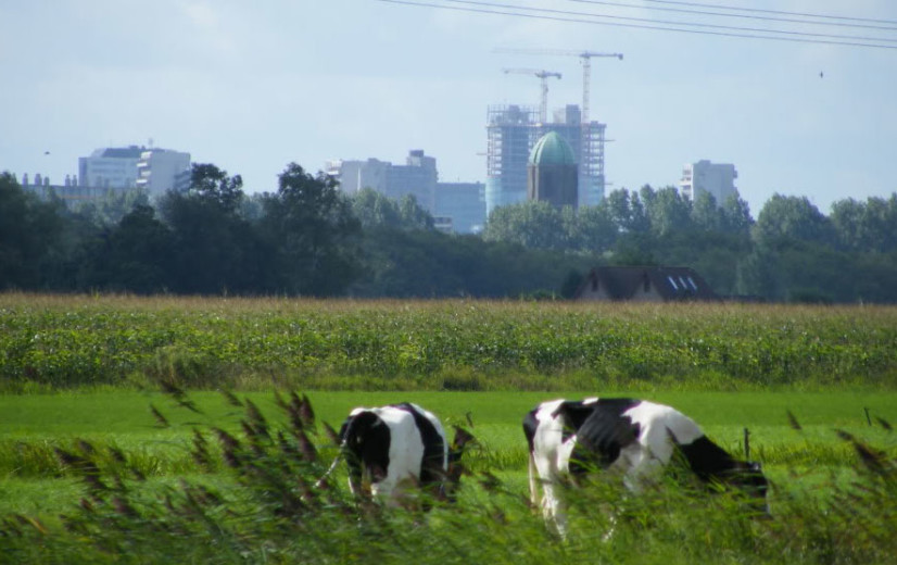 Vlaming wil betere ruimtelijke ordening en behoud van open ruimte op platteland