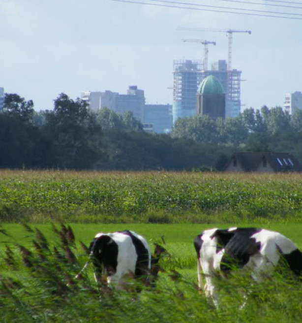 Niet natuur maar gezondheid zwaarste kost van mest