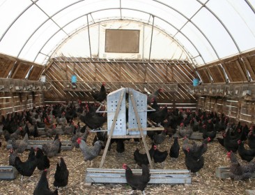 "EU moet voortrekker landbouwinnovatie zijn"