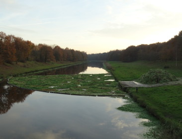 Europa publiceert eerste lijst met invasieve exoten