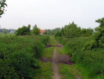 Groen en Bos+ stellen voortgang stadsbossen in vraag