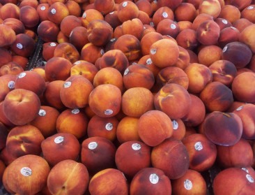 EU biedt hulp aan telers van perziken en nectarines