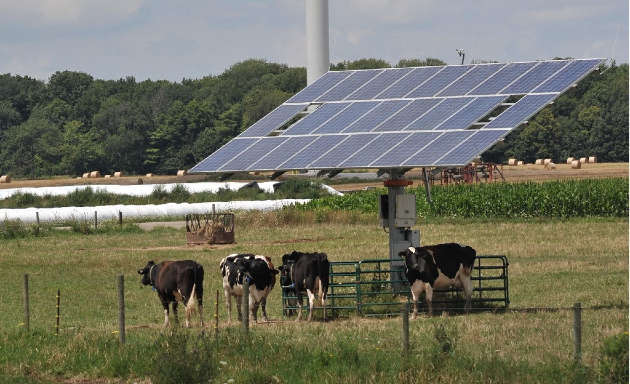 Investments in small-scale sustainable agriculture - SSE Knowledge ...