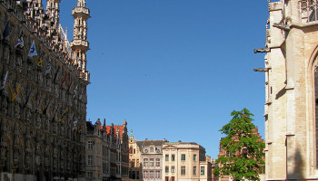 Leuven is voor de derde keer veggiehoofdstad van België