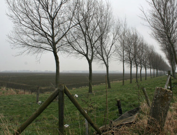 "Enkel gecorrigeerde vrijhandel leefbaar voor landbouw"