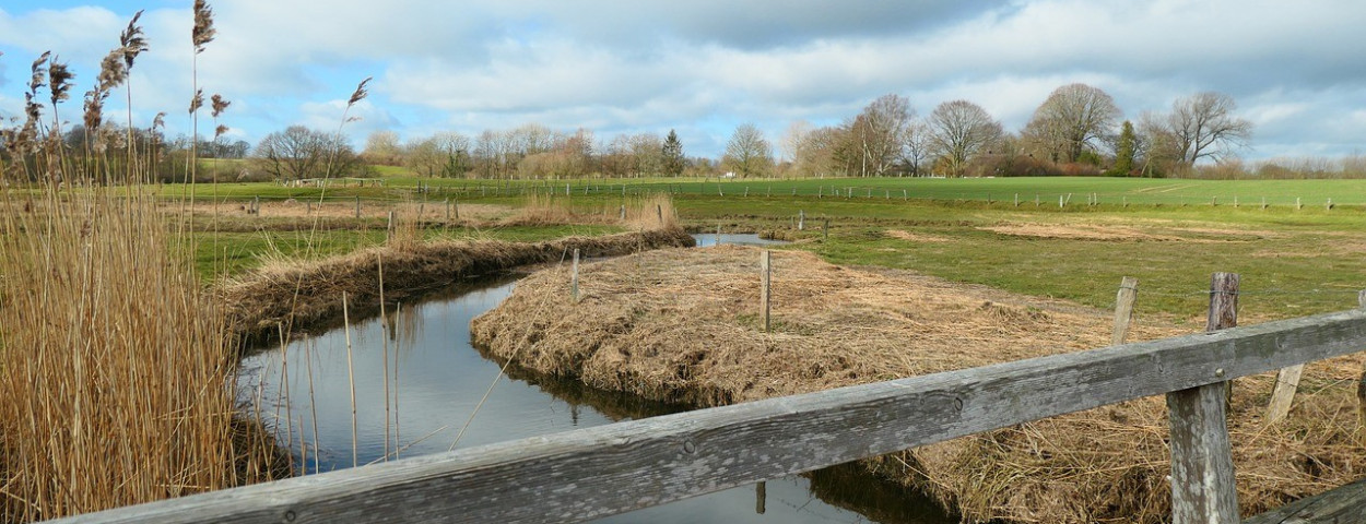 water-beek-veld-nattenatuur-1280
