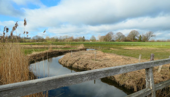 West-Vlaanderen voorziet half miljoen extra budget voor waterkwaliteit