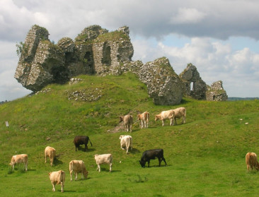 Ierse landbouw in grote onzekerheid door Brexit