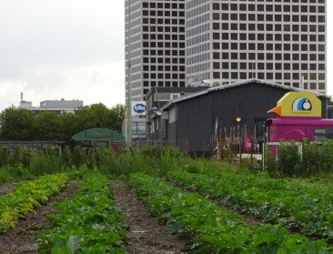 Wat het is en wat het kan of moet worden