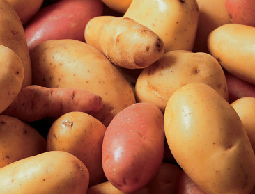 Worden Chinezen aardappeleters?