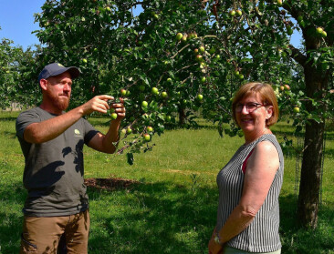 Den Boogerd: Innovatie in biologische hoogstamfruitteelt