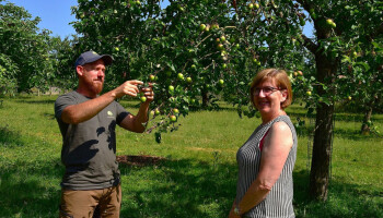 Den Boogerd: Innovatie in biologische hoogstamfruitteelt