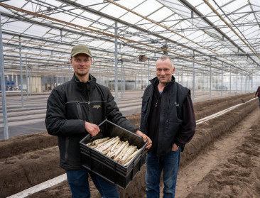Van tomaten naar asperges: tuinders bouwen dynamisch bedrijf uit in Turnhouts Vennengebied