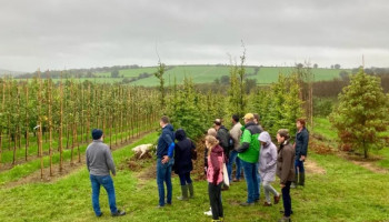 Vlaamse boomkwekers bezoeken belangrijk exportland Ierland