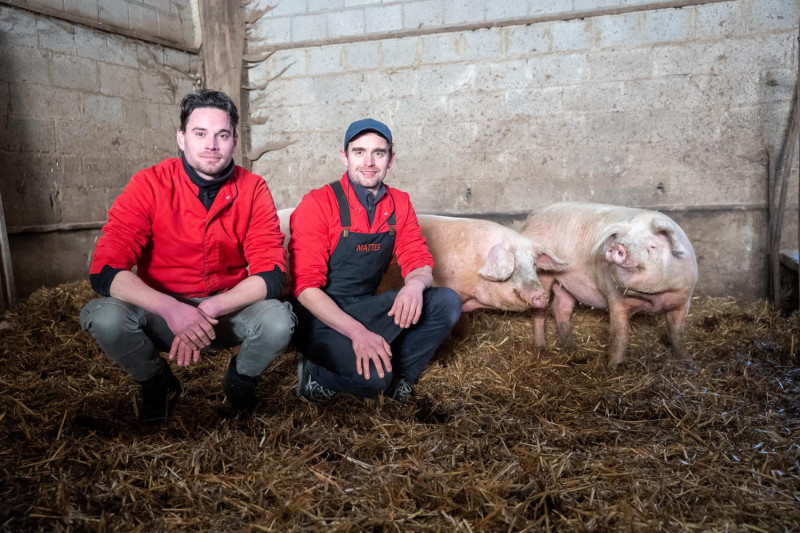 Ruben en Wouter Mattes bij de varkens