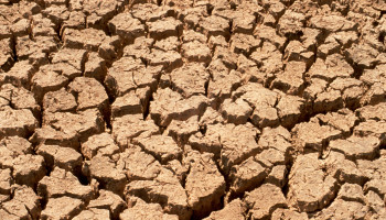 VUB houdt eerste internationale droogtesymposium
