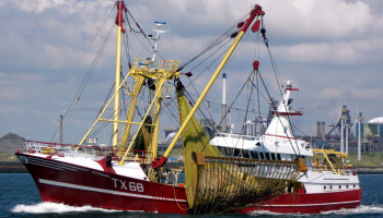 Akkoord over visquota voor 2022