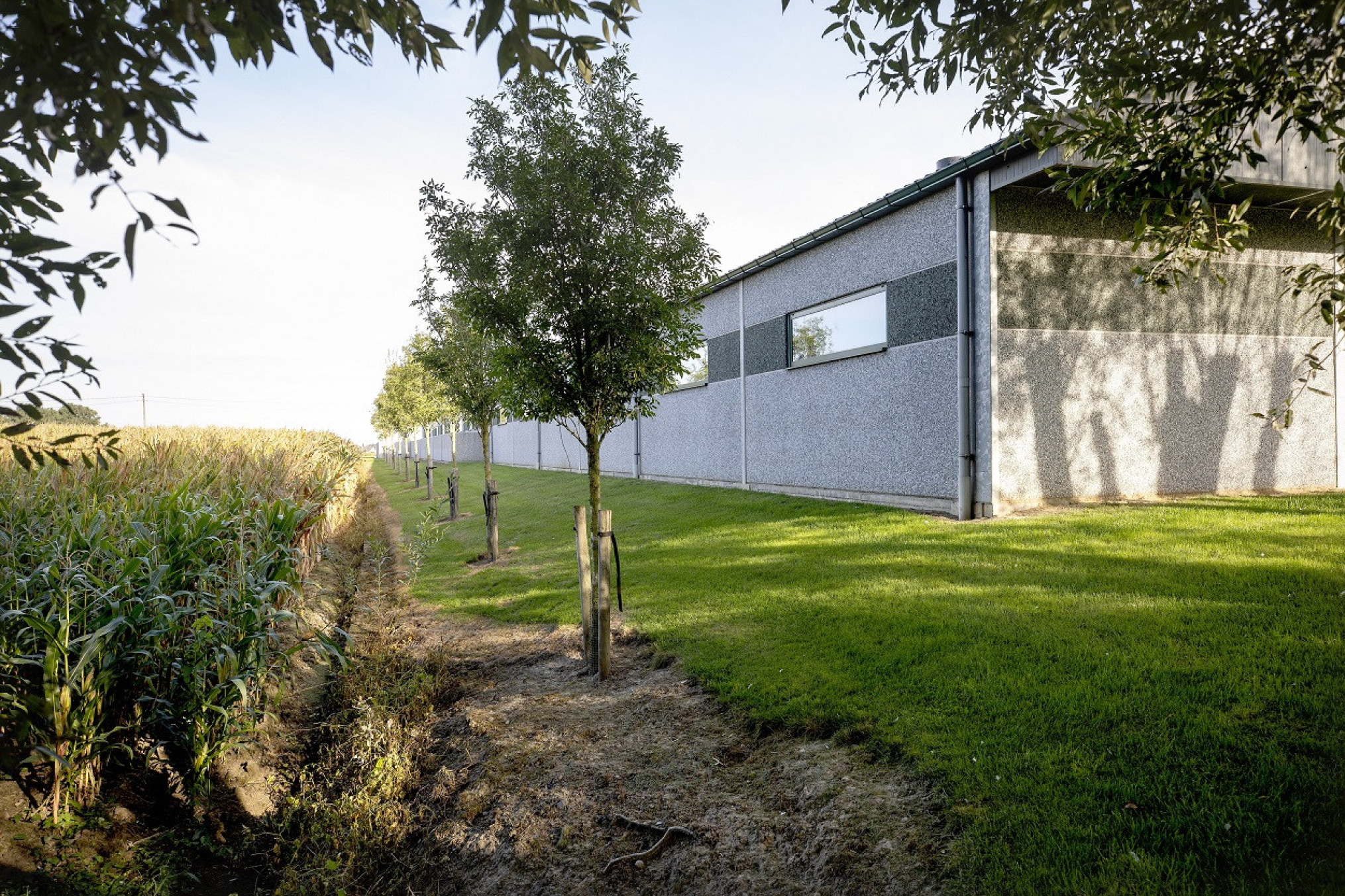 aanplanting-houtkant-landschap-Inagro-2-1250