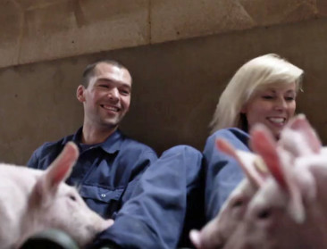 Animal Rights klaagt varkensboer aan na VTM-uitzending