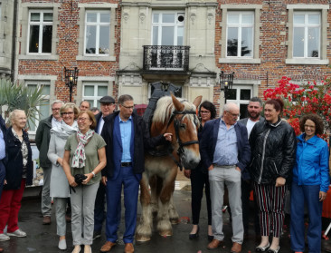 Vlaams-Brabant beschikt over gediplomeerde trekpaarden