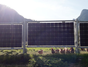 2-in-1 weideafrastering kan zonne-energie produceren