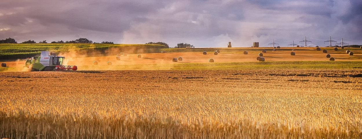 landschap stro graan