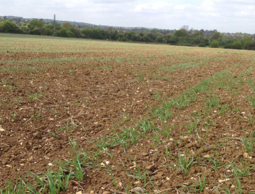 Pittige discussie over klimaat-proof zijn van landbouw