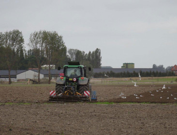 Landbouworganisaties analyseren Vlaamse GLB-plannen