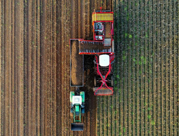 Turbulente tijden in de aardappelsector: Wat speelt er werkelijk?