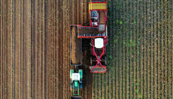Turbulente tijden in de aardappelsector: Wat speelt er werkelijk?