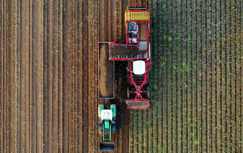 Turbulente tijden in de aardappelsector: Wat speelt er werkelijk?